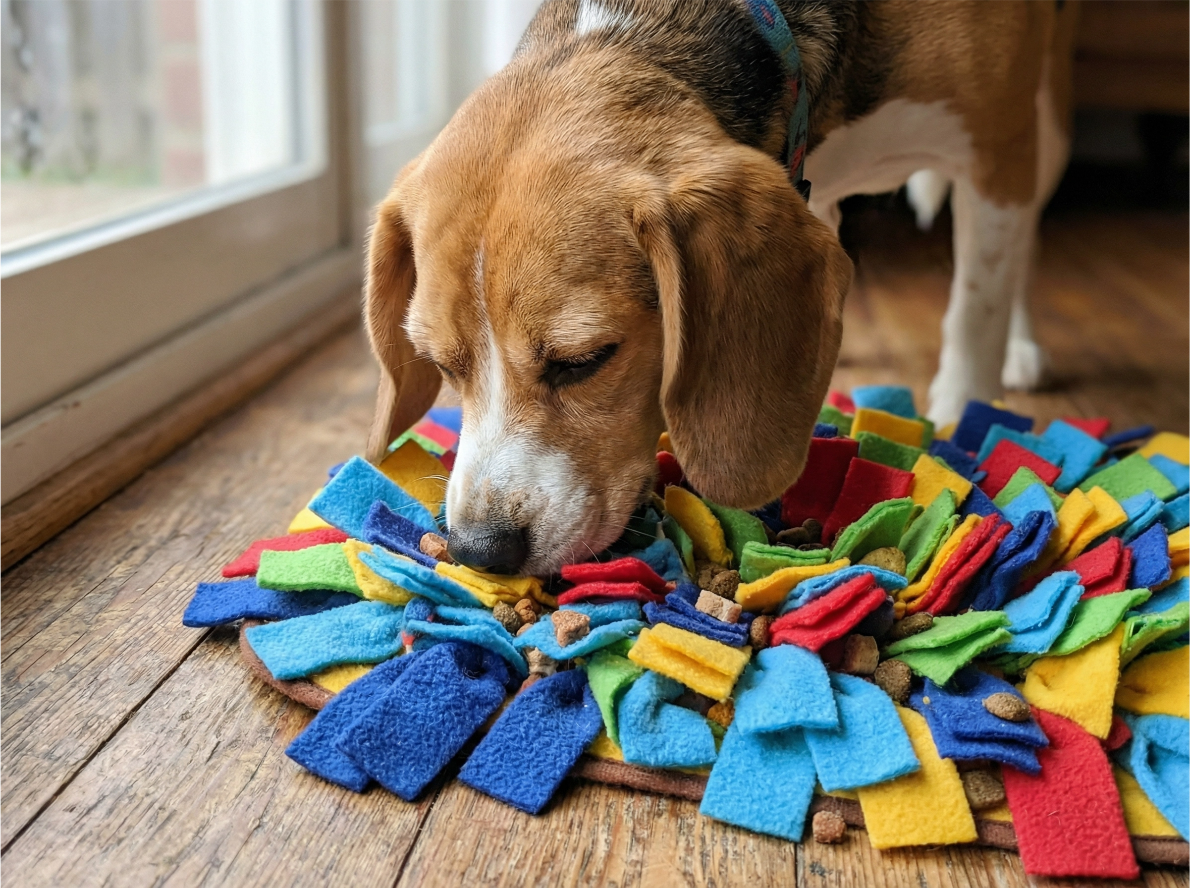 Dog sniffing snuffle mat enrichment activity for mental stimulation