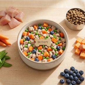 Personalized dog nutrition fresh meal plan with whole ingredients