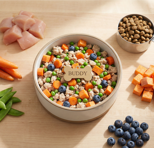 Personalized dog nutrition fresh meal plan with whole ingredients